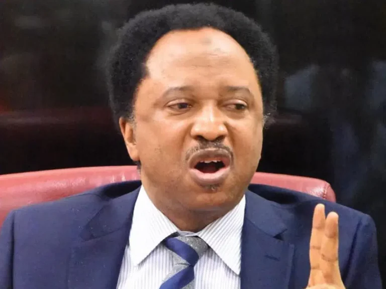 31 New States: Proposal a 'Joke', Says Shehu Sani